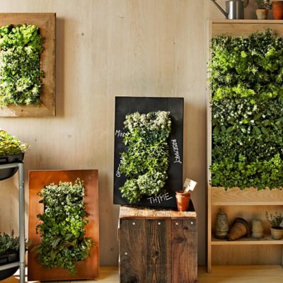 Tips on Setting Up a Vertical Garden in Your Home