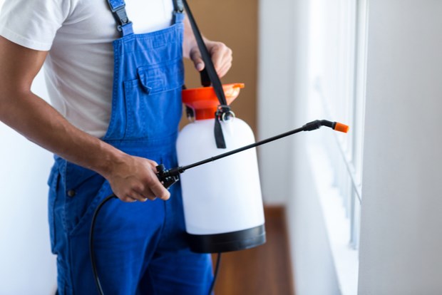 4 Top Benefits of Enlisting Professional Pest Control Services
