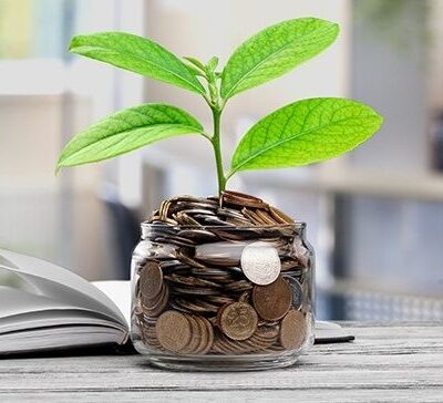 Make Your Money Grow Without Investing It