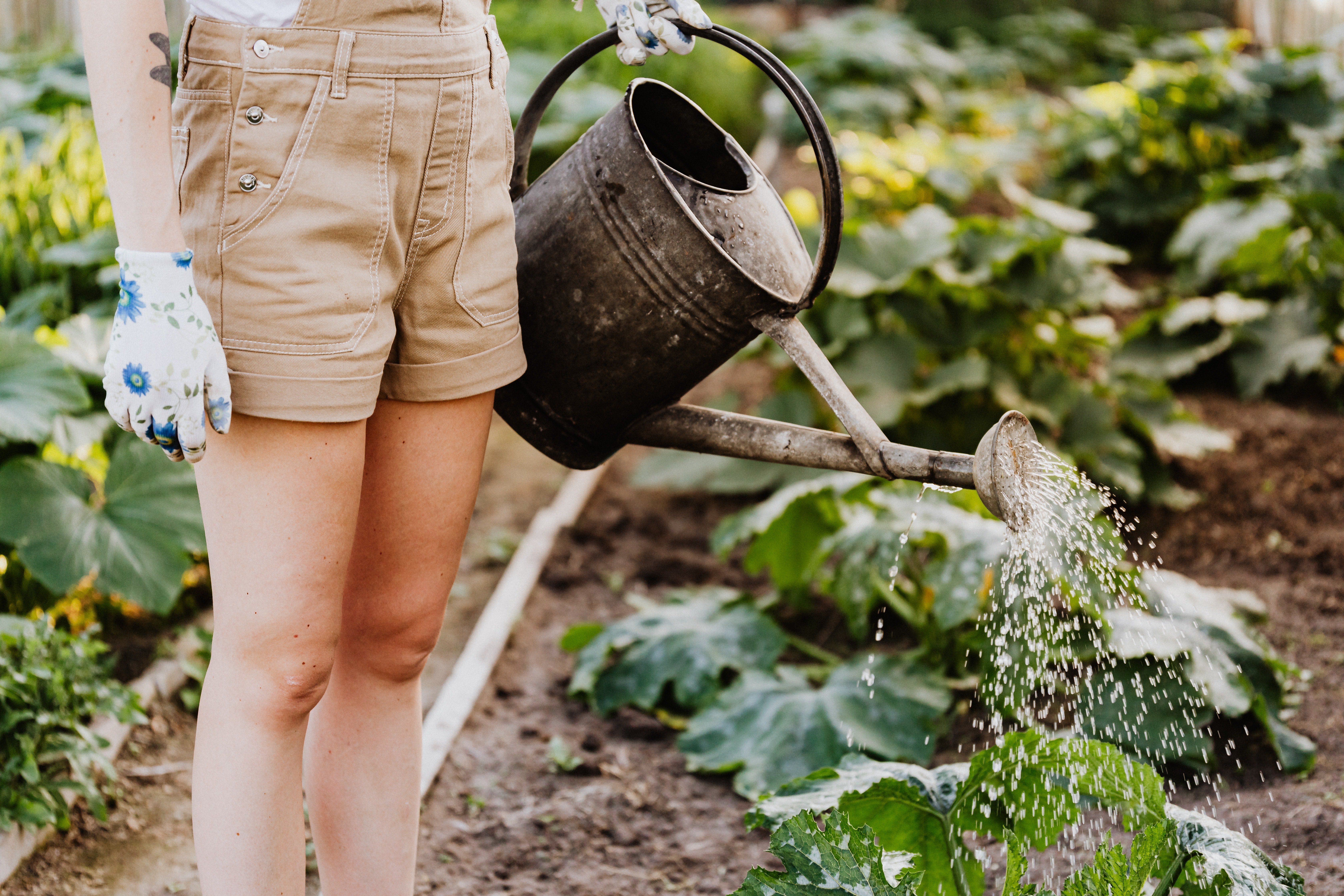 Tips to upgrading gardening skills